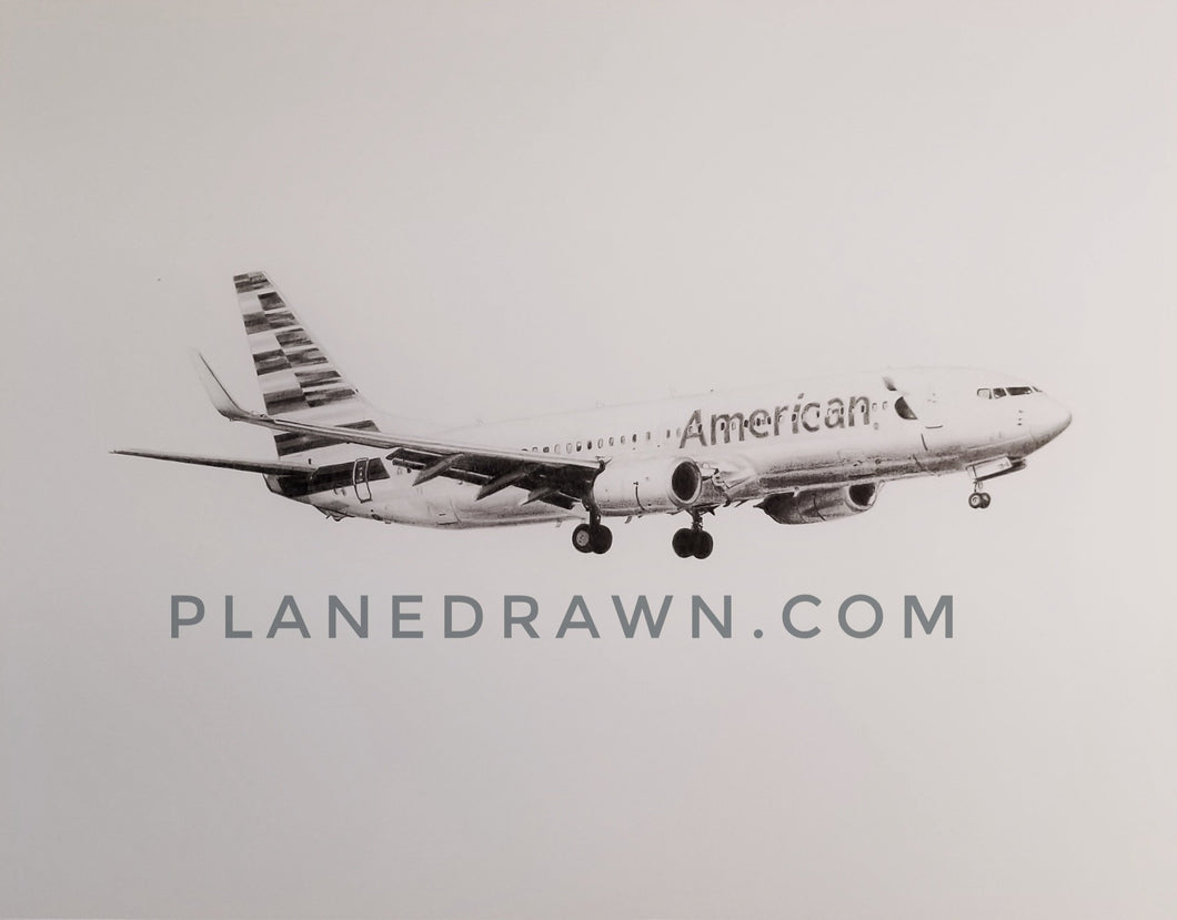 American Airlines Boeing 737 11